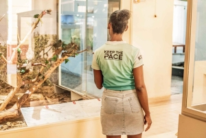 Port Louis Cultural Walking Tour