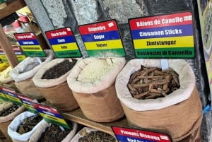 Mercato di Port Louis, Giardino Botanico - Tour di Mauritius Nord