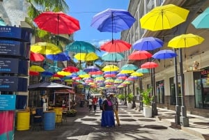 Port Louis: Mont Choisy, Botanical Garden, and Church Tour