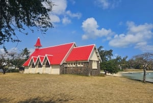 Port Louis: Mont Choisy, Botanical Garden, and Church Tour