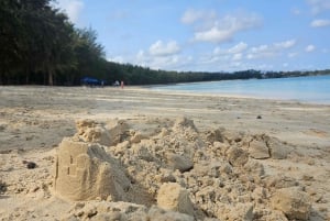 Port Louis: Mont Choisy, Botanical Garden, and Church Tour