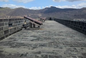 Port Louis: Mont Choisy, Botanical Garden, and Church Tour