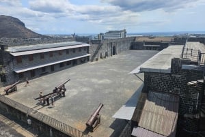 Port Louis: Mont Choisy, Botanical Garden, and Church Tour