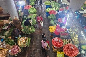 Port Louis: Mont Choisy, Botanical Garden, and Church Tour