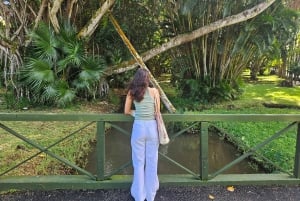 Port Louis: Mont Choisy, Botanical Garden, and Church Tour