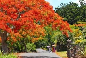 Port Louis & Northern Mauritius Full Day Guided Tour