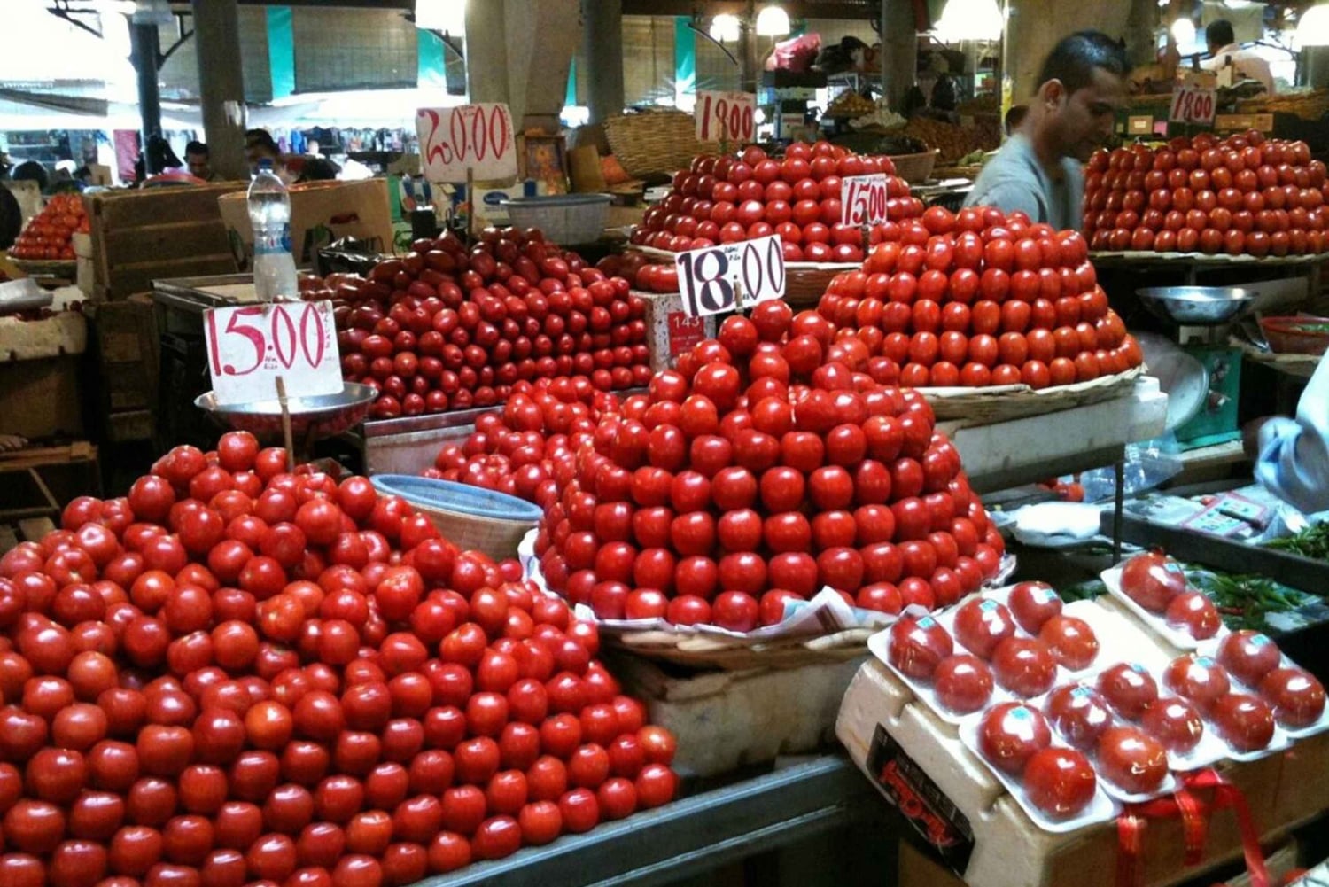 Порт-Луи: Частный тур 'Северные сокровища
