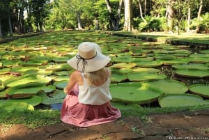 Порт-Луи: Частный тур 'Северные сокровища