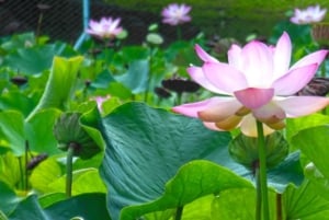 Порт-Луи: Частный тур 'Северные сокровища