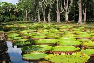 Port Louis: Private Guided Sightseeing Tour