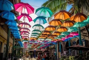 Port Louis: Private Guided Tour and Street Food Tasting