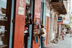Port Louis: Gadekøkken & byrundvisning