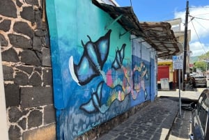 Port Louis: Gadekøkken & byrundvisning