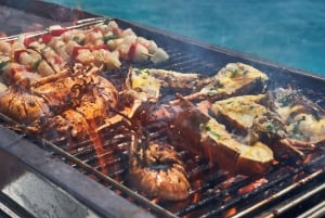 Yksityinen katamaraaniristeily kaakkoisrannikon viidelle saarelle