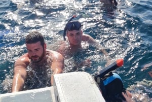 Privat delfinsnorkling. Maske, snorkel og svømmefødder er inkluderet gratis.