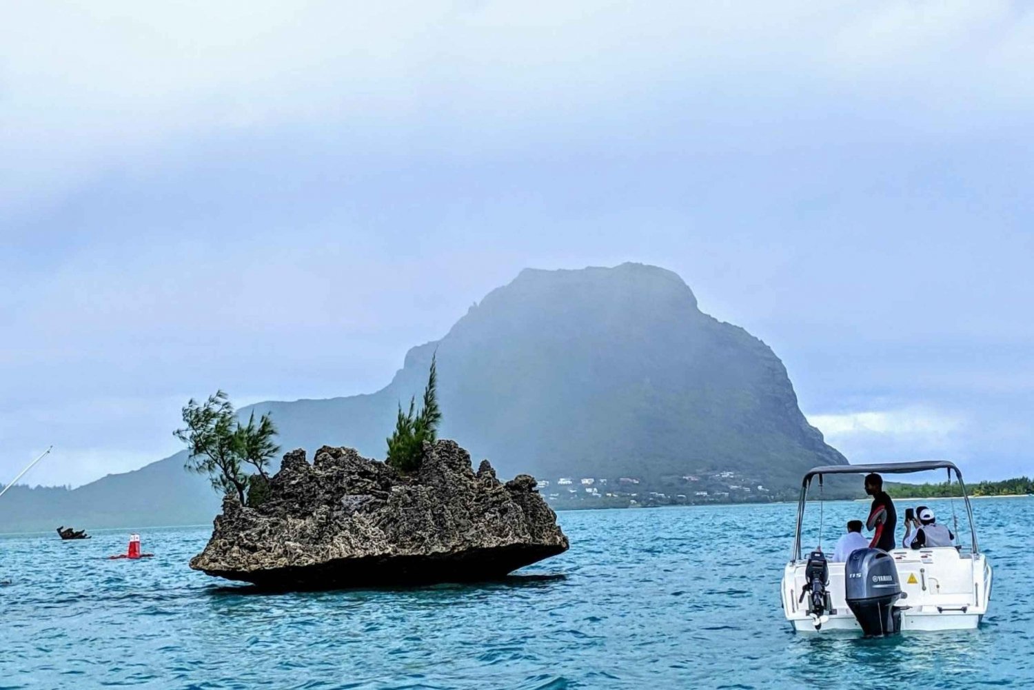 Private Dolphin Swim/Snorkeling & Lunch on Benitiers island