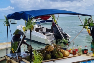 Mauritius: Private Swim with Dolphins on Benitiers Island