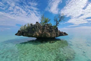 Mauritius: Private Swim with Dolphins on Benitiers Island