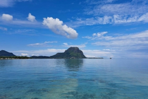 Mauritius: Private Swim with Dolphins on Benitiers Island