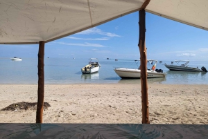 Mauritius: Private Swim with Dolphins on Benitiers Island