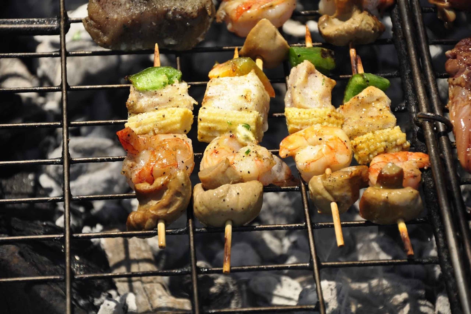 島でのハラール ランチ付きプライベート イルカ ウォッチング / スイミング