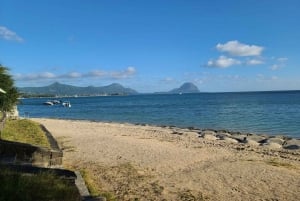 Private Dolphin Watching/Swimming with Halal Lunch on Island