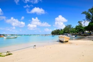 Private Dolphin Watching/Swimming with Halal Lunch on Island