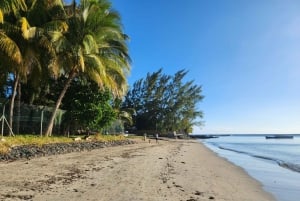 Private Dolphin Watching/Swimming with Halal Lunch on Island