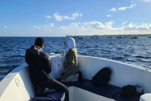 Private Dolphin Watching/Swimming with Halal Lunch on Island