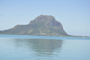 島でのハラール ランチ付きプライベート イルカ ウォッチング / スイミング