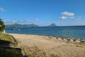 島でのハラール ランチ付きプライベート イルカ ウォッチング / スイミング