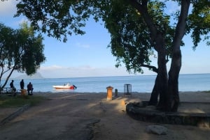 島でのハラール ランチ付きプライベート イルカ ウォッチング / スイミング