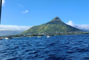 島でのハラール ランチ付きプライベート イルカ ウォッチング / スイミング