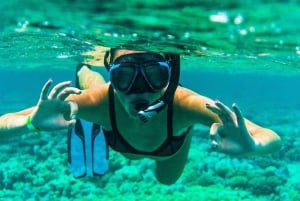 モーリシャス東部プライベートツアー：ブルーベイ・アクアパーク＆昼食