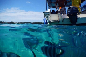 モーリシャス東部プライベートツアー：ブルーベイ・アクアパーク＆昼食