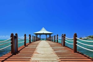 モーリシャス東部プライベートツアー：ブルーベイ・アクアパーク＆昼食