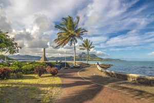 モーリシャス東部プライベートツアー：ブルーベイ・アクアパーク＆昼食