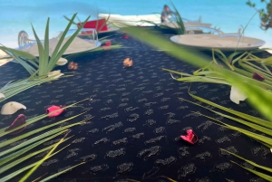 Heldag: Miljövänligt möte med delfiner och grillfest på Benitier Island