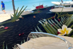 Heldag: Miljövänligt möte med delfiner och grillfest på Benitier Island