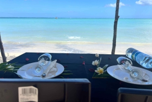 Heldag: Miljövänligt möte med delfiner och grillfest på Benitier Island