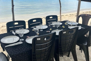 Heldag: Miljövänligt möte med delfiner och grillfest på Benitier Island