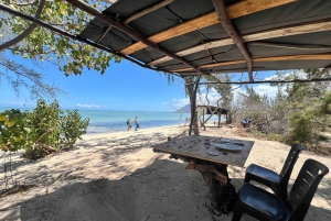 Heldag: Miljövänligt möte med delfiner och grillfest på Benitier Island