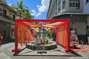 Privat tur til både nord og sør på Mauritius