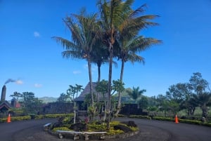 Privat tur til både nord og sør på Mauritius