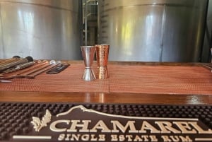 Privat tur til både nord og sør på Mauritius