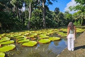 Privat tur til både nord og sør på Mauritius