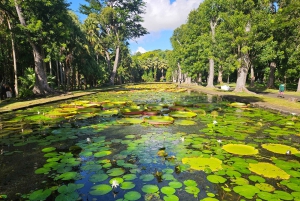 Privat tur til både nord og sør på Mauritius