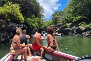 Privé Full Day Speedboot Tour - Blue Bay naar Ile Aux Cerfs