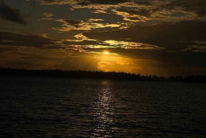 Heldag: Miljövänligt möte med delfiner och grillfest på Benitier Island