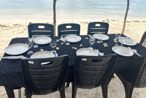 Heldag: Miljövänligt möte med delfiner och grillfest på Benitier Island